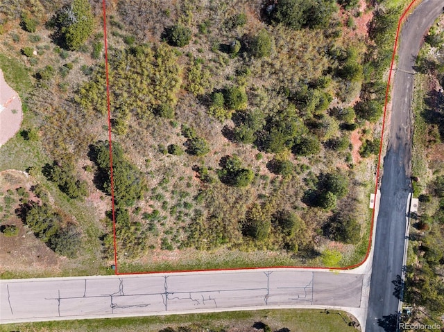 3605 Outback Vista Pt, Colorado Springs, CO 80904 - photo 4