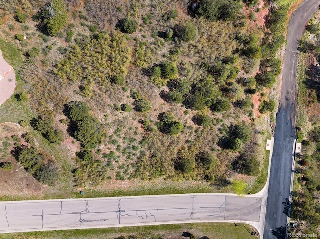 3605 Outback Vista Pt, Colorado Springs, CO 80904 - photo 5