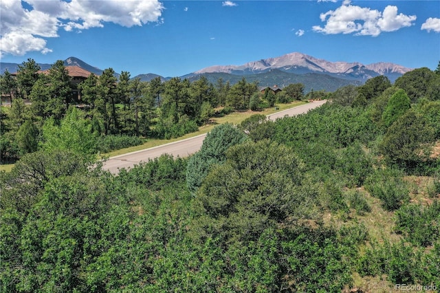 3605 Outback Vista Pt, Colorado Springs, CO 80904 - photo 6
