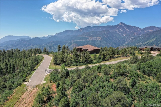 3605 Outback Vista Pt, Colorado Springs, CO 80904 - photo 7