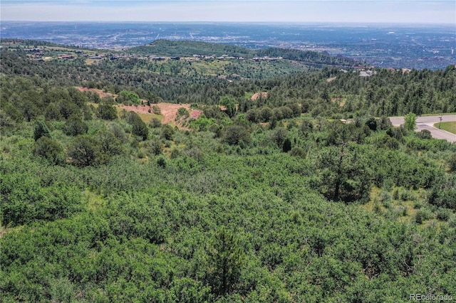3605 Outback Vista Pt, Colorado Springs, CO 80904 - photo 8