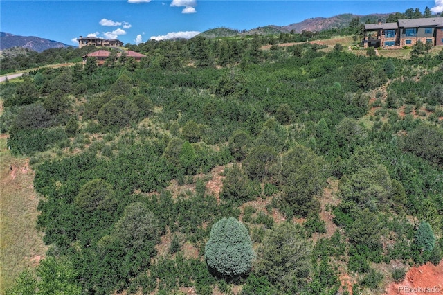 3605 Outback Vista Pt, Colorado Springs, CO 80904 - photo 9