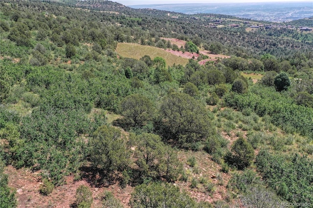 3605 Outback Vista Pt, Colorado Springs, CO 80904 - photo 12