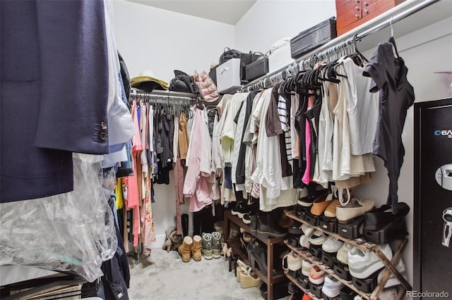 view of walk in closet