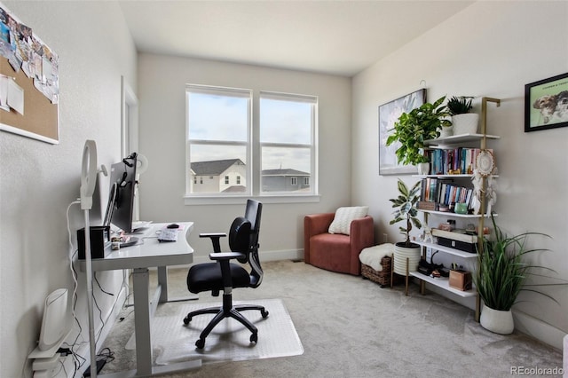home office featuring carpet