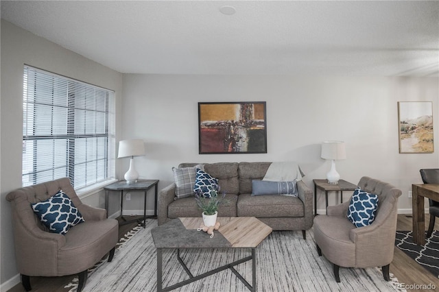 living room with hardwood / wood-style floors