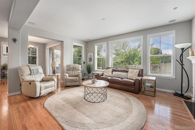 10994 Shadowbrook Cir, Highlands Ranch, CO 80130 - living room featuring light wood-style flooring
