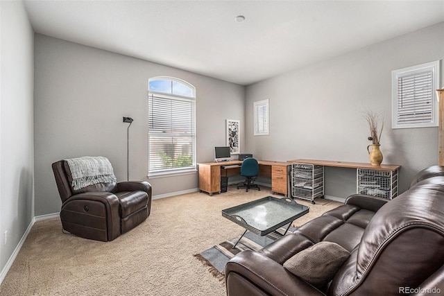 10994 Shadowbrook Cir, Highlands Ranch, CO 80130 - office space featuring baseboards and light carpet