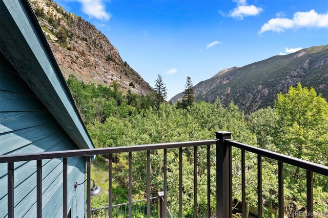 205 Loop Dr, Georgetown, CO 80444 - photo 42