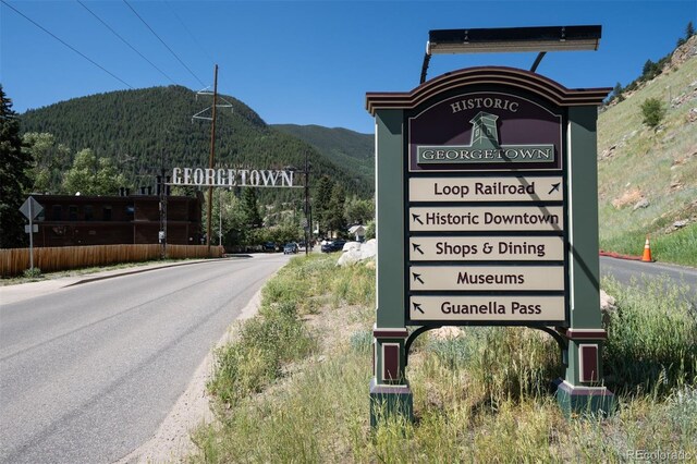 205 Loop Dr, Georgetown, CO 80444 - photo 45
