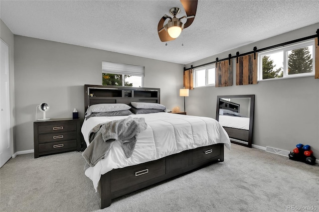 8209 Balsam Way, Arvada, CO 80005 - photo 22