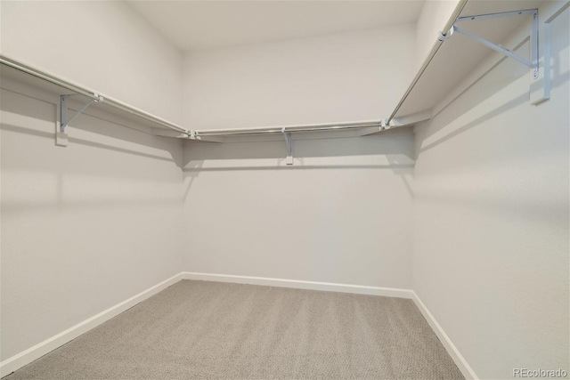 spacious closet with carpet