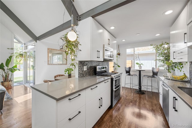 1380 S Dahlia St, Denver, CO 80222 - kitchen featuring white cabinets, dark wood-style flooring, appliances with stainless steel finishes, and tasteful backsplash