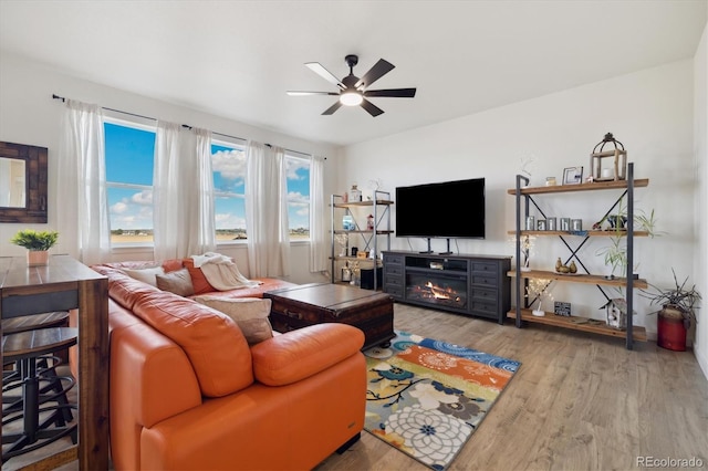 353 Raven Ln, Johnstown, CO 80534 - living area with a ceiling fan and wood finished floors