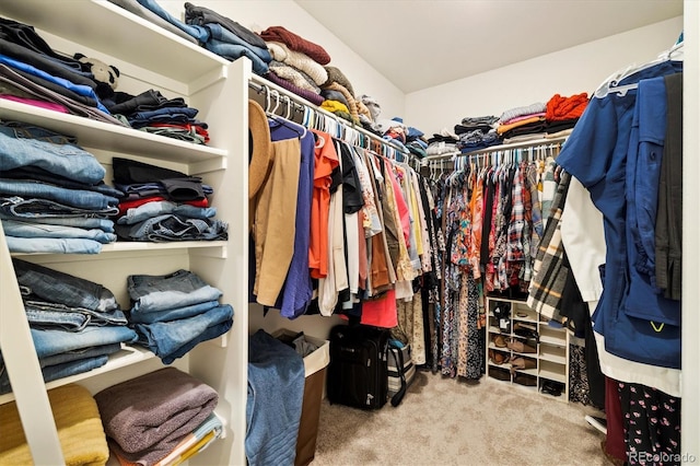 353 Raven Ln, Johnstown, CO 80534 - spacious closet with carpet flooring