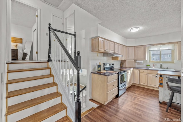 kitchen featuring dishwasher, wood finished floors, stainless steel electric range, light brown cabinets, and a sink