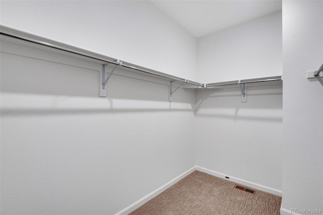 spacious closet with carpet flooring