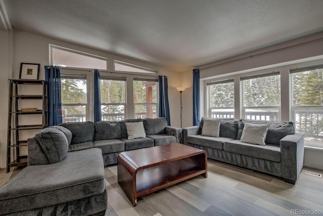 492 Kimmes Ln, Breckenridge, CO 80424 - living area with light wood finished floors and a textured ceiling