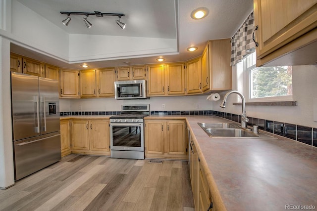 492 Kimmes Ln, Breckenridge, CO 80424 - kitchen featuring appliances with stainless steel finishes, a sink, light wood finished floors, recessed lighting, and a raised ceiling