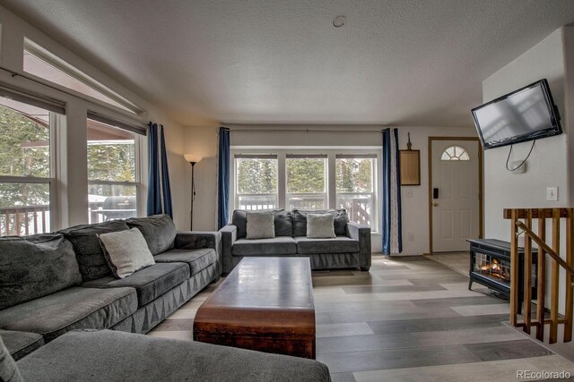 492 Kimmes Ln, Breckenridge, CO 80424 - living area featuring healthy amount of natural light, light wood finished floors, and a textured ceiling
