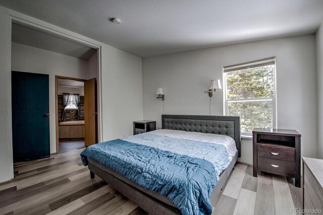 492 Kimmes Ln, Breckenridge, CO 80424 - bedroom with light wood finished floors