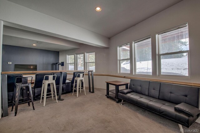 492 Kimmes Ln, Breckenridge, CO 80424 - living area featuring carpet floors and recessed lighting