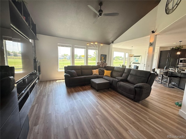 653 Glenarbor Cir, Longmont, CO 80504 - living area with wood finished floors, ceiling fan, healthy amount of natural light, high vaulted ceiling, and a chandelier