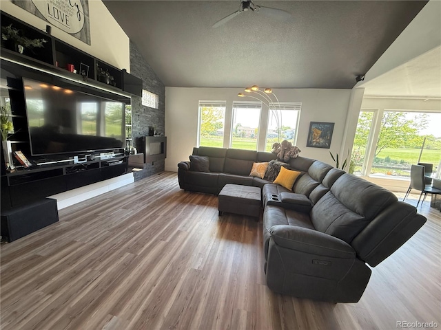 653 Glenarbor Cir, Longmont, CO 80504 - living room with high vaulted ceiling, ceiling fan, plenty of natural light, wood finished floors, and a textured ceiling