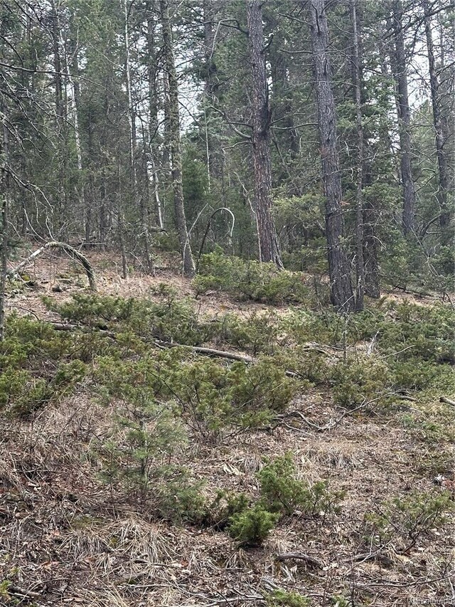 235 Hay Creek Rd, Florissant, CO 80816
