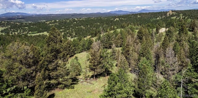 235 Hay Creek Rd, Florissant, CO 80816
