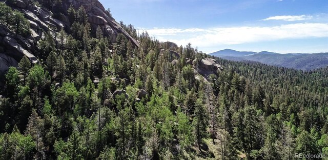 235 Hay Creek Rd, Florissant, CO 80816