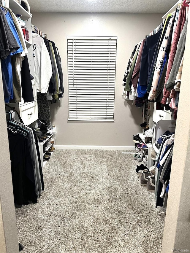 4733 S Vivian Ct, Morrison, CO 80465 - spacious closet with carpet flooring