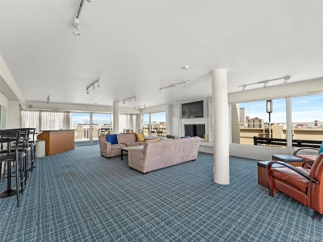 living area featuring carpet and rail lighting