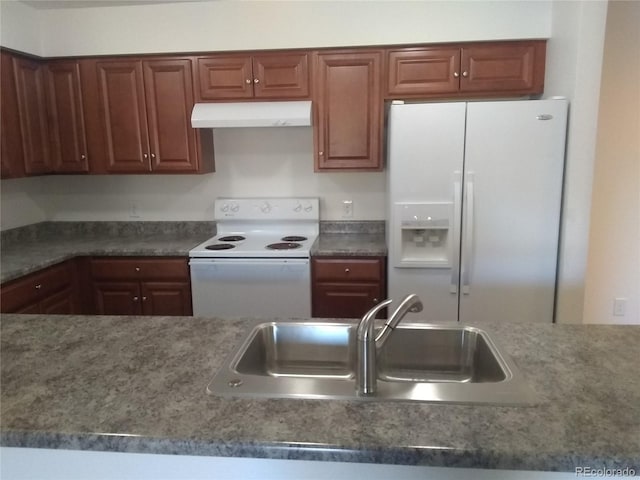 kitchen with white appliances, under cabinet range hood, a sink, and dark countertops