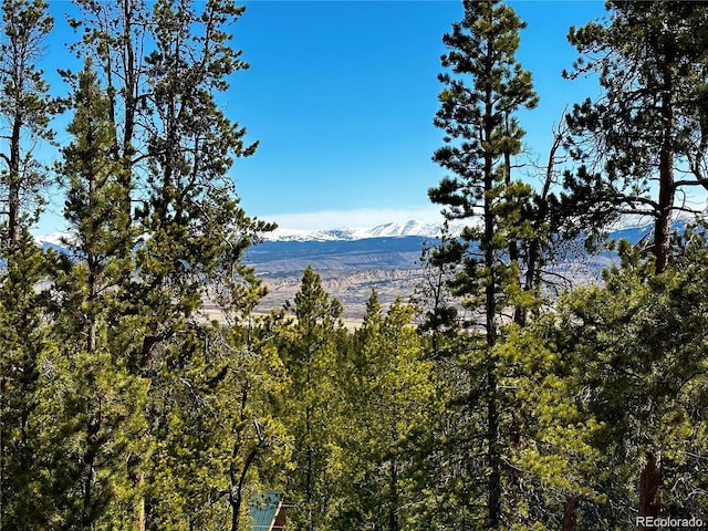 1297 Sequoia Dr, Twin Lakes CO, 81251 land for sale