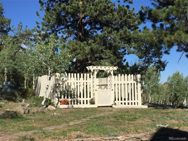 220 Ravenswood Ct, Bailey, CO 80421 - photo 31