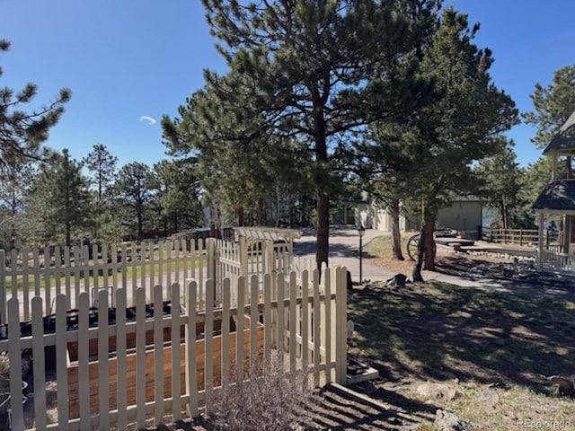 220 Ravenswood Ct, Bailey, CO 80421 - photo 32