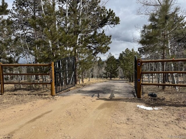 220 Ravenswood Ct, Bailey, CO 80421 - photo 44