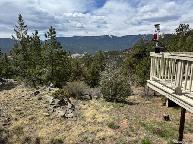 220 Ravenswood Ct, Bailey, CO 80421 - photo 49