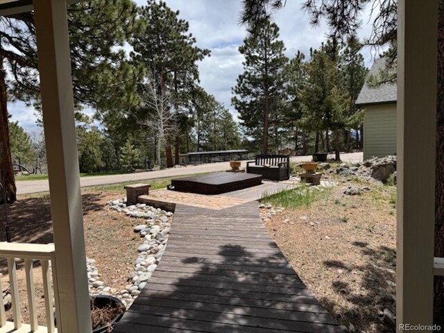 220 Ravenswood Ct, Bailey, CO 80421 - photo 38