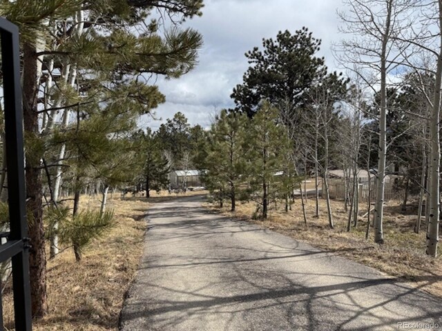 220 Ravenswood Ct, Bailey, CO 80421 - photo 45