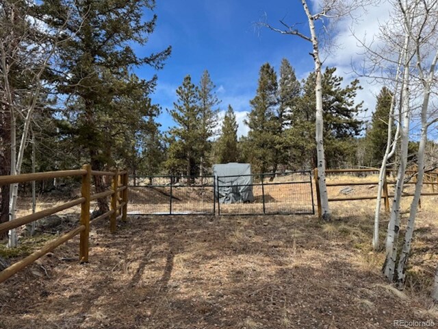 220 Ravenswood Ct, Bailey, CO 80421 - photo 47