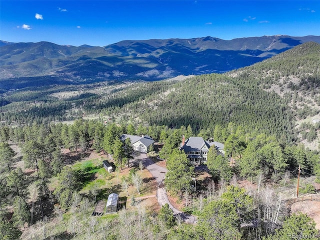 220 Ravenswood Ct, Bailey, CO 80421 - photo 6