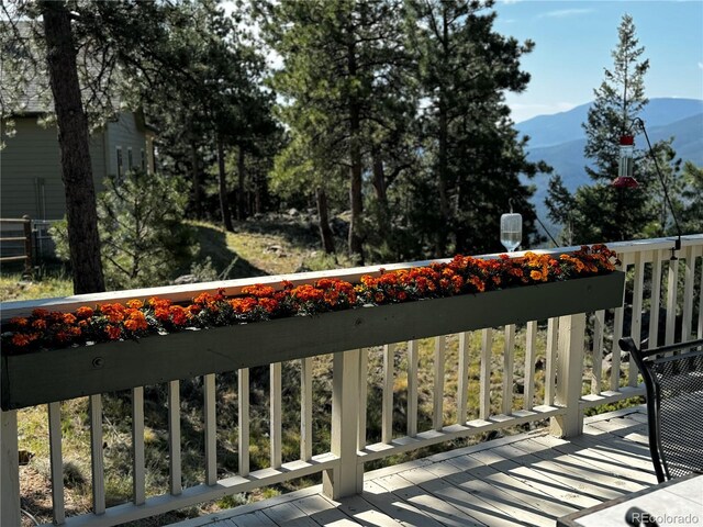 220 Ravenswood Ct, Bailey, CO 80421 - photo 8