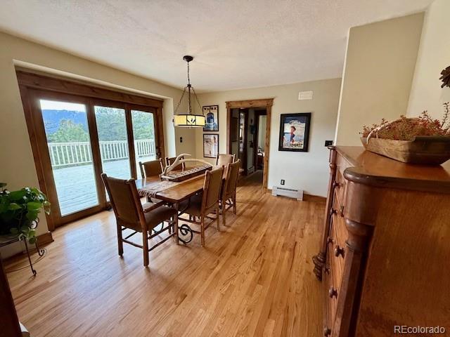 220 Ravenswood Ct, Bailey, CO 80421 - photo 15