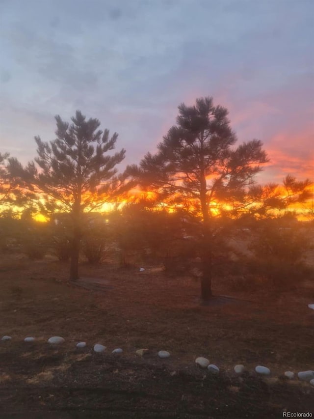 view of nature at dusk