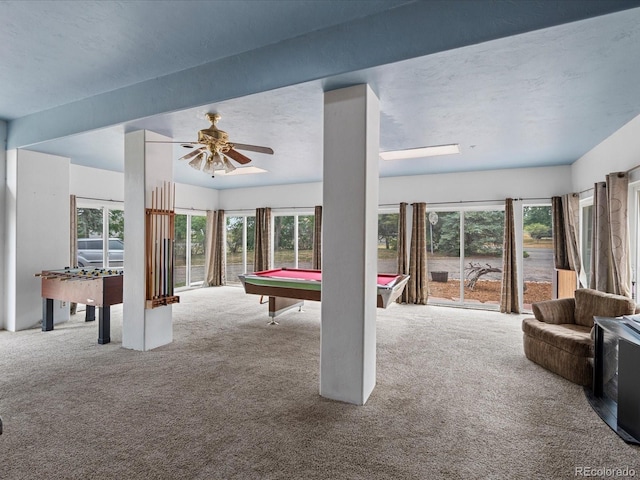 20247 Northmoor Dr, Johnstown, CO 80534 - photo 29