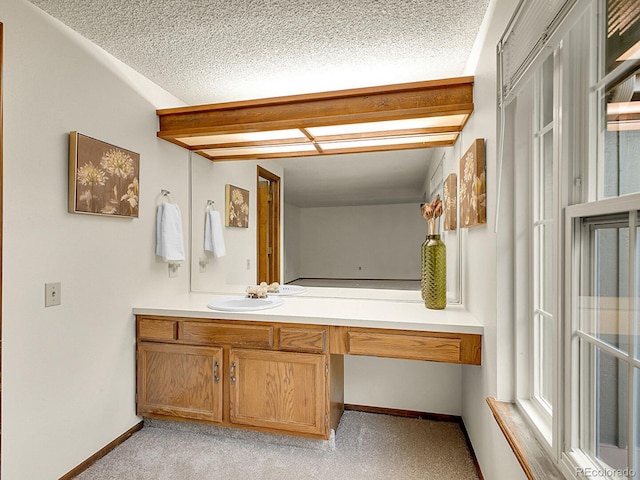 7781 S Curtice Dr Unit D, Littleton, CO 80120 - bathroom featuring vanity and a textured ceiling