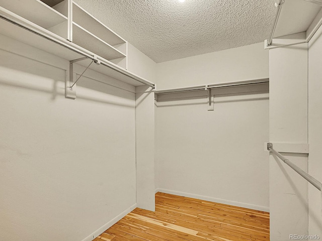 7781 S Curtice Dr Unit D, Littleton, CO 80120 - walk in closet featuring light wood-type flooring