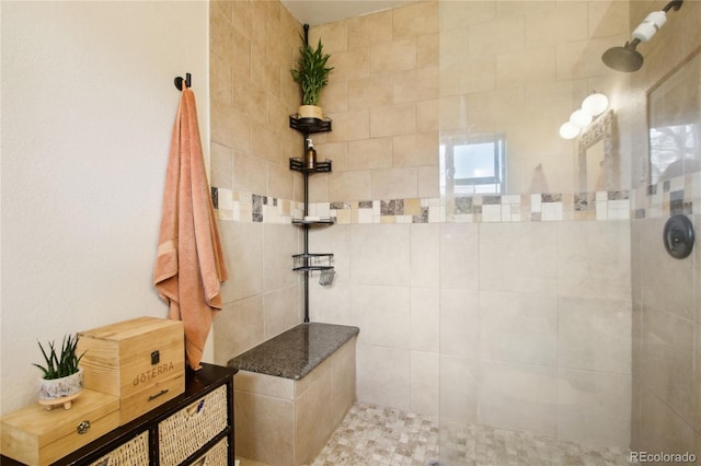6188 S Westview St, Littleton, CO 80120 - bathroom with a walk in shower